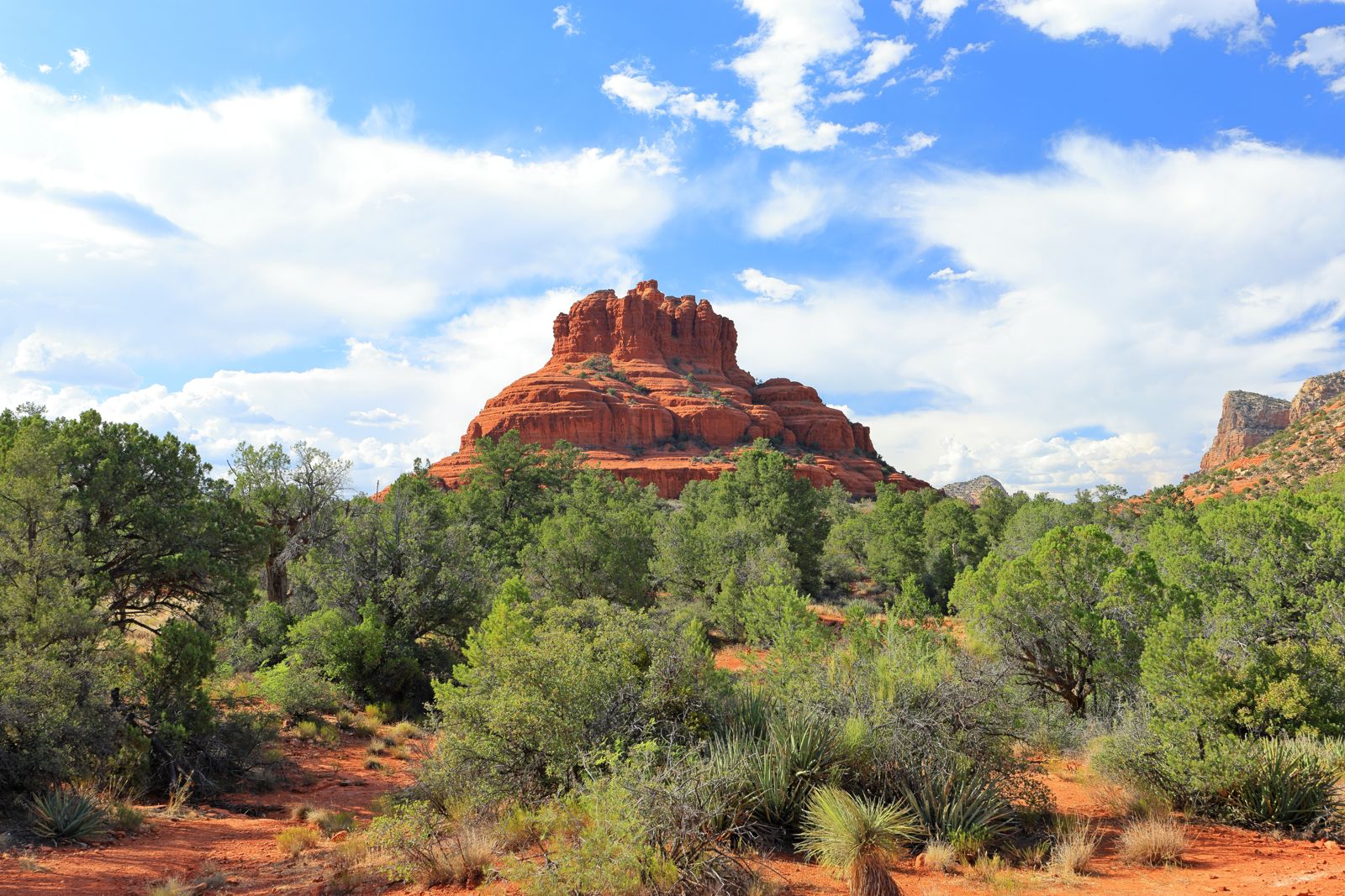 Bell Rock's red sandstone dome above green juniper and shrubs